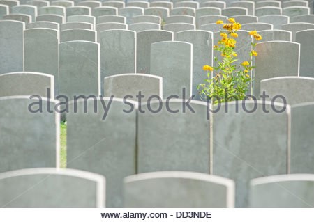 Headstone Saddles Flowers Jarbidge NV 89826